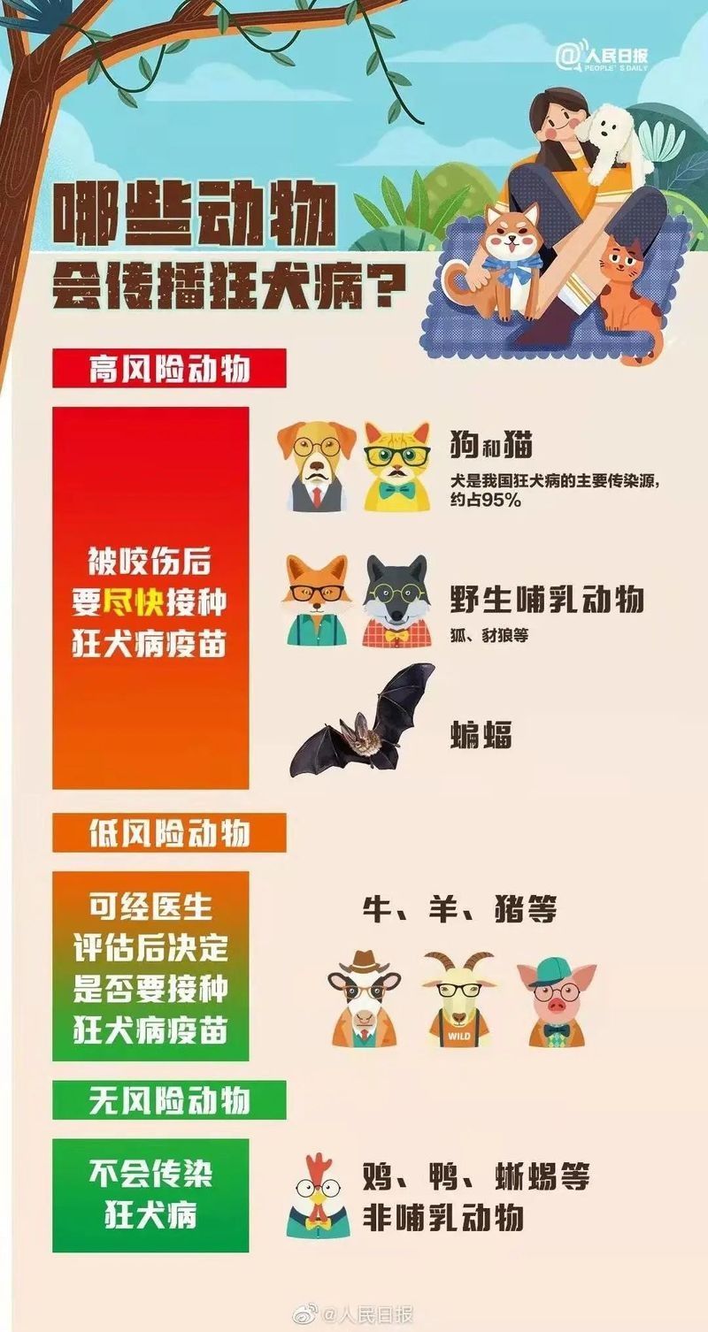 龍貓咬傷會得狂犬病嗎（貓咬傷會得狂犬病嗎？）
