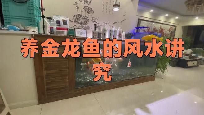 容縣金龍魚最忌諱三個地方（容縣金龍魚最忌諱的三個地方）