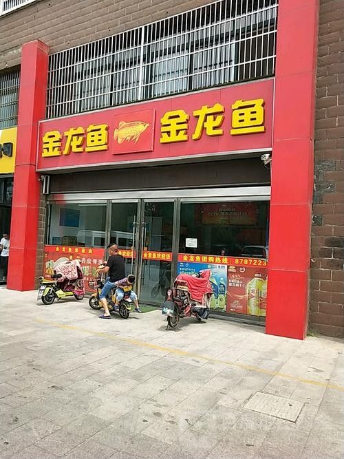 金龍魚品牌的歷史（金龍魚中國市場征服之路:一部外資品牌的“本土化”教科書）