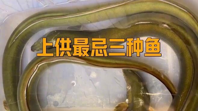 神農架最忌三種魚（上供最忌諱三種魚）