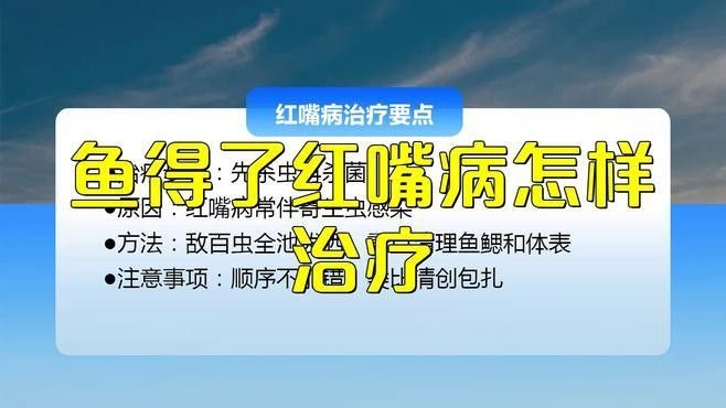 龍魚嘴唇變色（龍魚嘴唇變色是什么原因？）