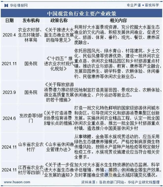 2025年紅龍魚養殖前景如何？（025年紅龍魚養殖前景分析）
