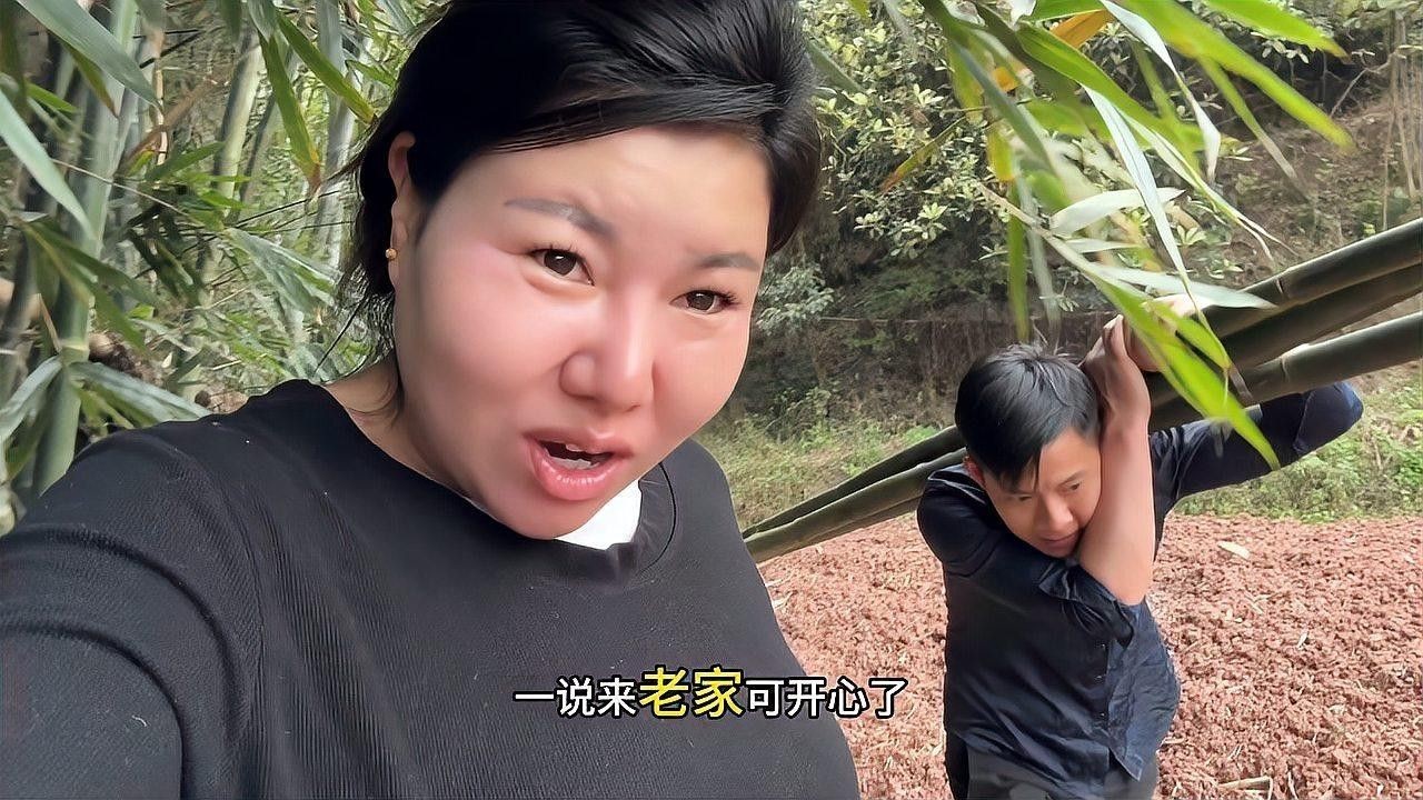 龍魚苗批發哪個平臺最可靠（龍魚苗批發平臺有哪些？）
