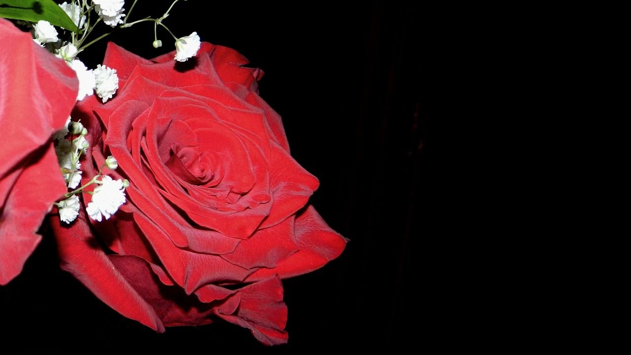 這條紅馬還有沒希望各位大神（“這條紅馬”還有沒希望各位大神，我為您生成了以下摘要：）