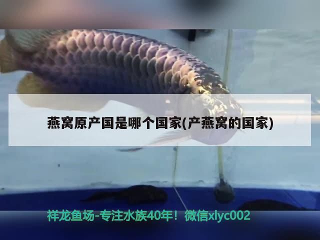小魚缸水循環(huán)安裝圖，家用小魚缸水循環(huán)安裝圖