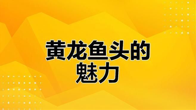 北京路黃龍魚頭口碑如何（北京路黃龍魚頭口碑分析）