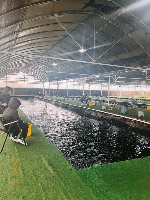 杭州龍魚漁場哪個最好（杭州龍魚漁場介紹）