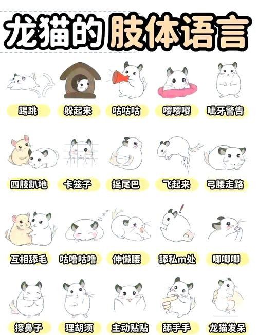 如何避免龍貓咬人？（龍貓為什么會咬人）