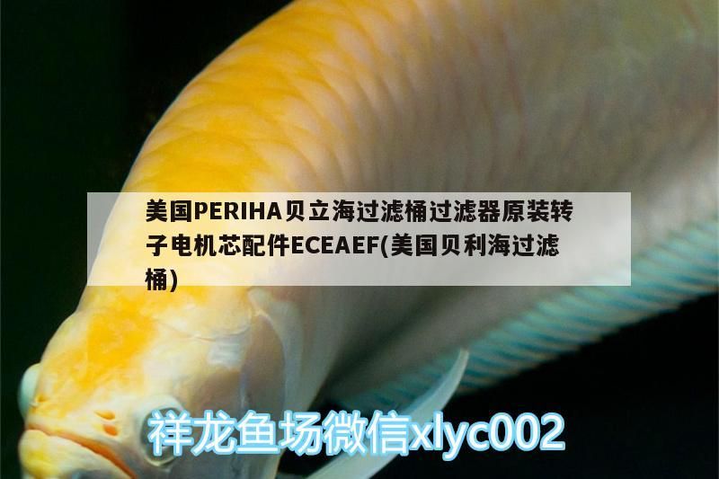 美國(guó)PERIHA貝立海過(guò)濾桶過(guò)濾器原裝轉(zhuǎn)子電機(jī)芯配件ECEAEF(美國(guó)貝利海過(guò)濾桶)（periha貝立海過(guò)濾桶過(guò)濾器原裝轉(zhuǎn)子電機(jī)芯配件eceaef）