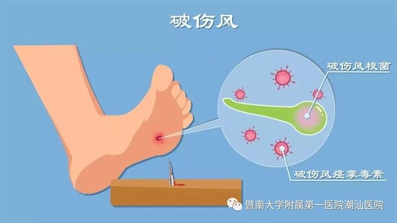 龍魚，一種過色彩血統的觀賞魚，福龍龍魚圖片大全高清圖片大全高清圖片大全高清圖