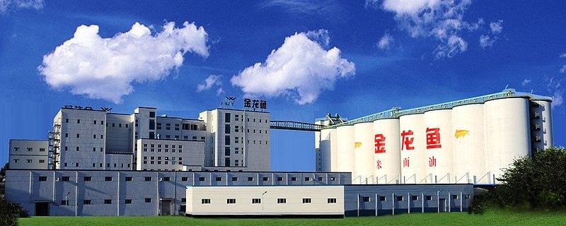 金龍魚總部有哪些部門（金龍魚總部主要部門及其職責概述）