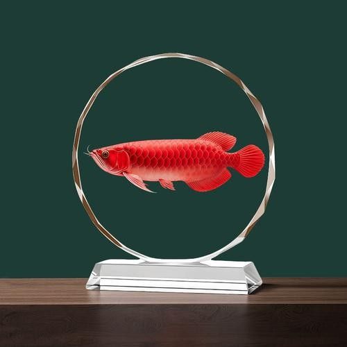 金龍魚擺件有哪些材質(zhì)（金龍魚擺件有哪些材質(zhì)的金龍魚擺件最有收藏價值）