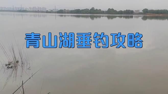 臨安<strong><mark>青山</mark></strong>湖可不可以夜釣魚（臨安<strong><mark>青山</mark></strong>湖可以夜釣嗎？）