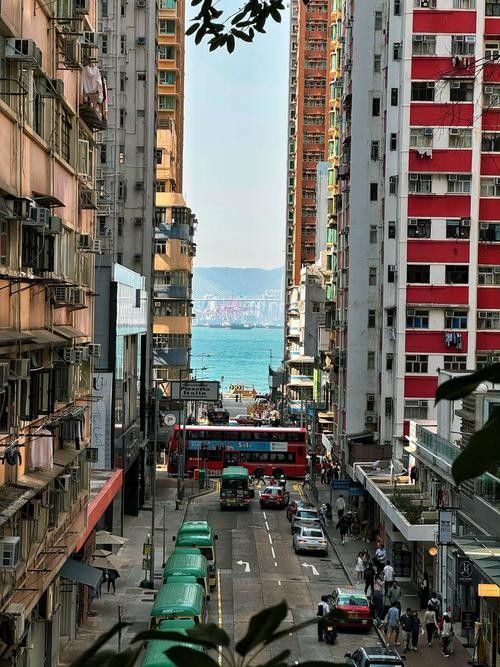 香港龍魚(yú)門(mén)圖片欣賞（香港鯉魚(yú)門(mén)游玩攻略）
