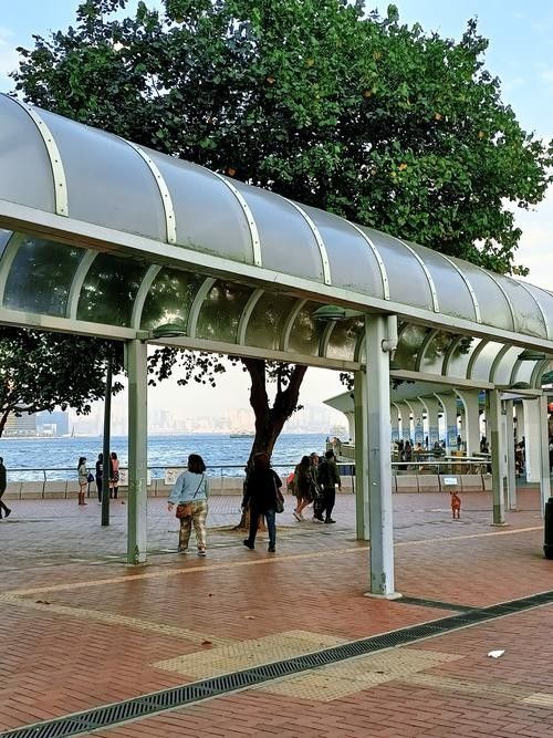 香港龍魚(yú)門(mén)圖片欣賞（香港鯉魚(yú)門(mén)游玩攻略）
