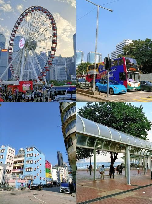 香港龍魚(yú)門(mén)圖片欣賞（香港鯉魚(yú)門(mén)游玩攻略）