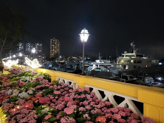 香港龍魚(yú)門(mén)圖片欣賞（香港鯉魚(yú)門(mén)游玩攻略）