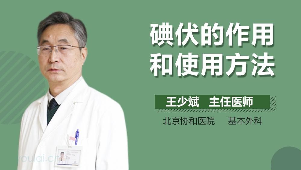 龍魚配幾條飛鳳魚最好？，龍魚怎么混養(yǎng)才會成功？