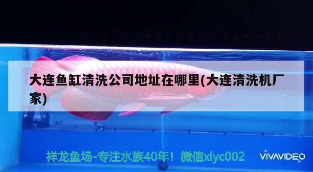 大連魚缸清洗公司地址在哪里(大連清洗機廠家)（大連魚缸清洗公司）