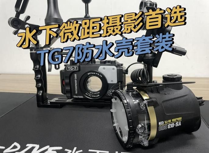 給我推薦一些適合拍攝小龍魚的背景板