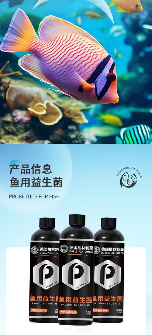 龍魚益生菌酸奶可以天天喂嗎？