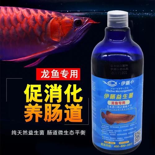 龍魚益生菌酸奶可以天天喂嗎？