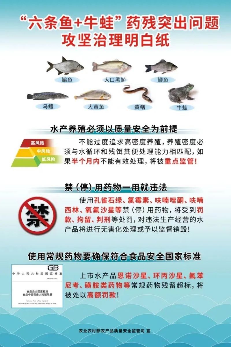 龍魚益生菌酸奶可以天天喂嗎？