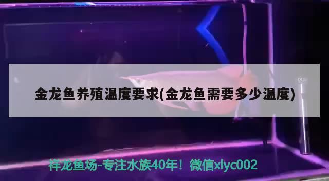 金龍魚養殖溫度要求(金龍魚需要多少溫度) 金龍魚養殖溫度要求(金龍魚需要多少溫度) 觀賞魚百科