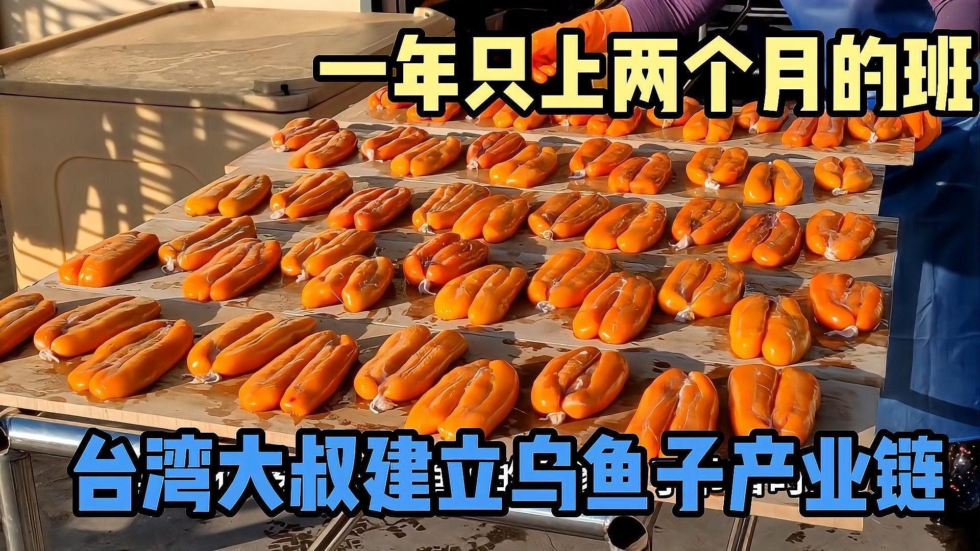 黑魚價格未來走勢如何？（黑魚價格季節性波動大嗎2026年黑魚價格走勢預測）