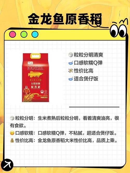 金龍魚哪個系列最受歡迎？（金龍魚“金龍魚”系列口碑及專業(yè)評測：05:31金龍魚）