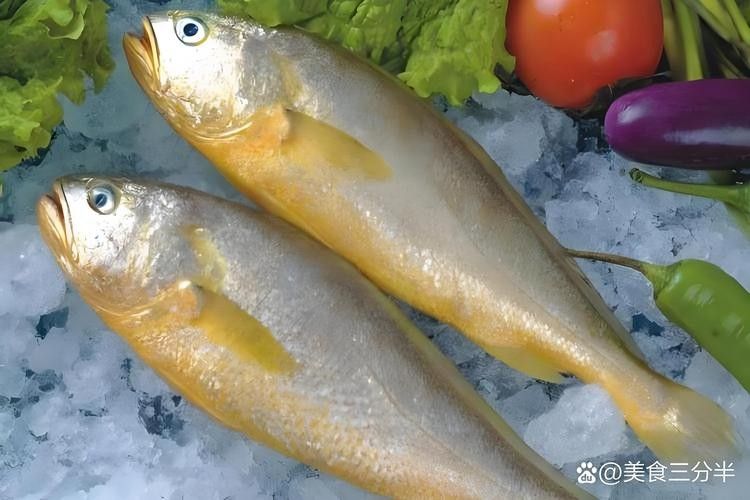 如何區分金龍魚和小黃魚？（金龍魚和小黃魚的區別）