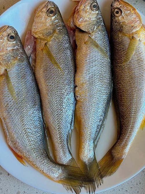 如何區分金龍魚和小黃魚？（金龍魚和小黃魚的區別）