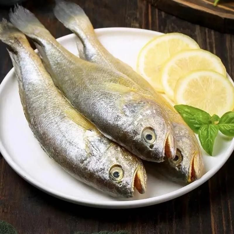 如何區分金龍魚和小黃魚？（金龍魚和小黃魚的區別）