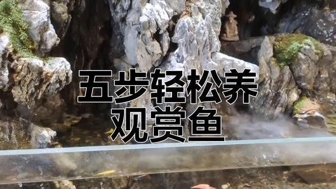 黑龍過背的市場需求如何
