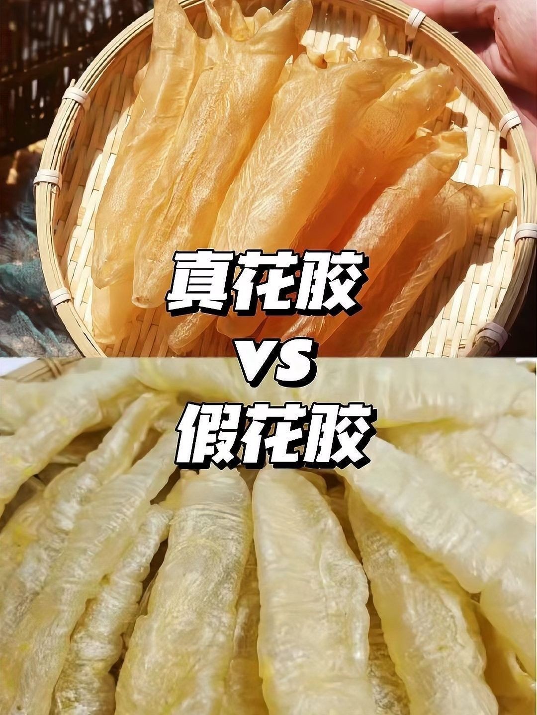 如何辨別真假大金龍魚膠