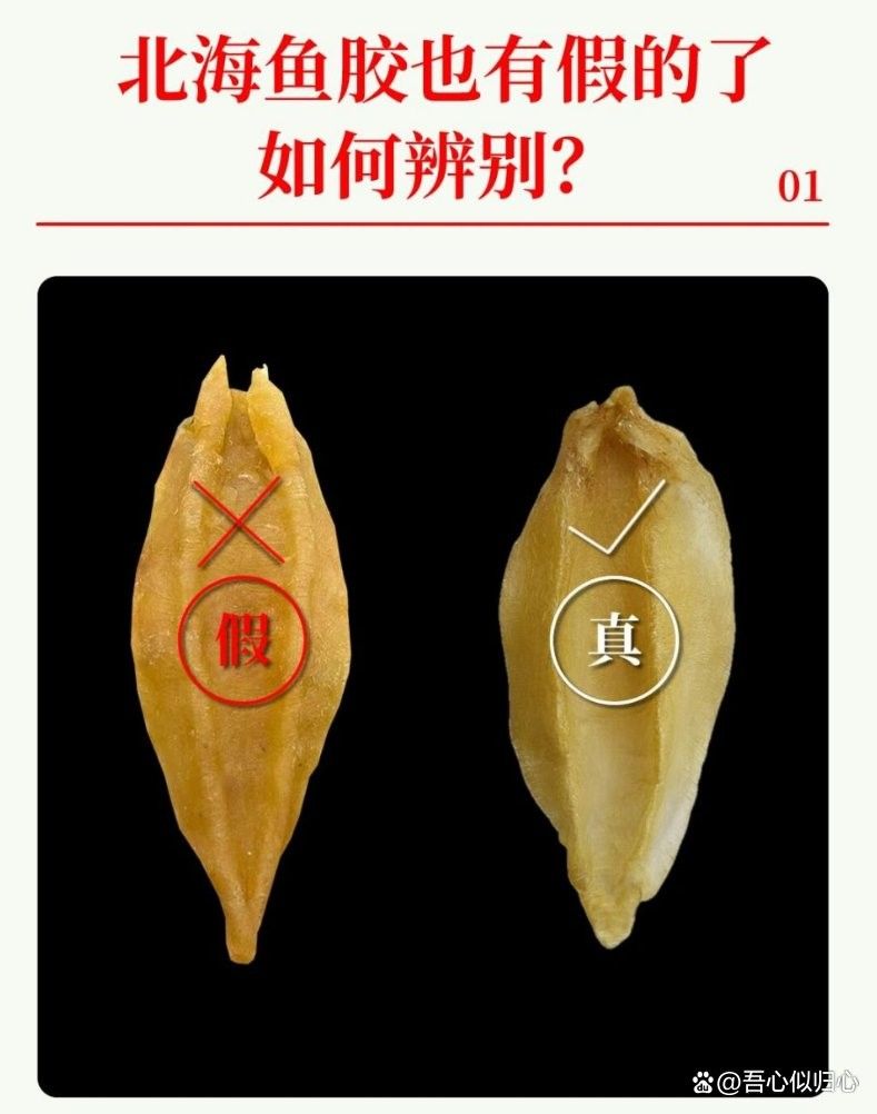 如何辨別真假大金龍魚膠