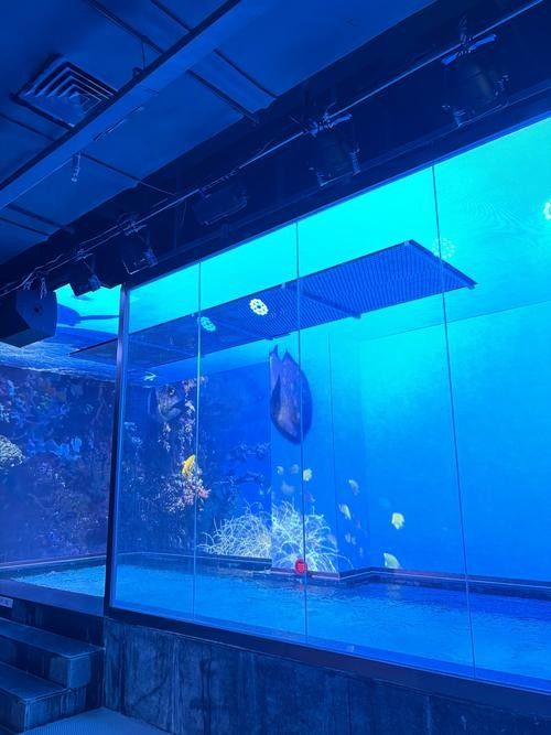 龍魚世家水族館的營業時間是（龍魚世家水族館的營業時間是什么？）