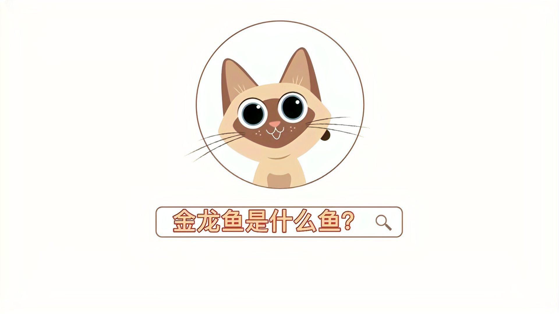 福貢金龍魚（福貢金龍魚是什么魚）