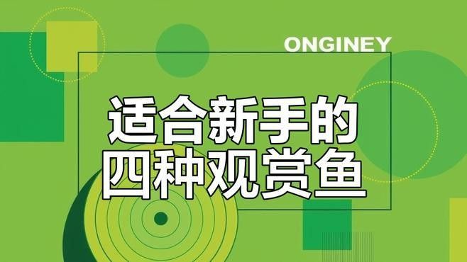 有哪些適合2～3厘米小魚的飼料，養殖小型觀賞魚的飼料選擇