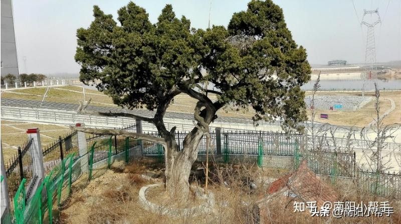白龍魚服有哪些典故版本