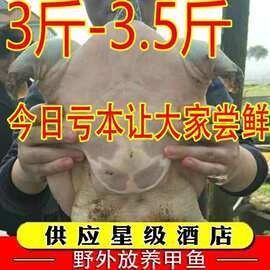 臨沂龍魚批發市場的營業時間是（臨沂龍魚批發市場的營業時間是多久？）