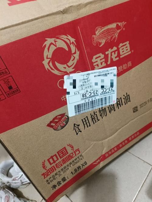 卓資金龍魚屬于雜牌嗎（卓資縣金龍魚屬于雜牌嗎？）
