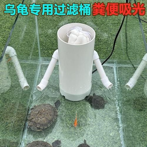 斑馬魚和龍魚混養(yǎng)需要哪些設(shè)備