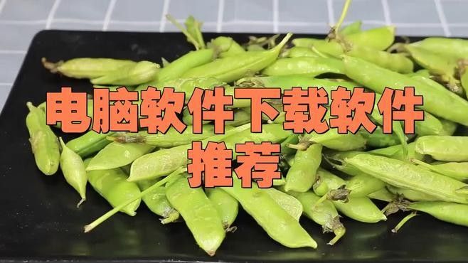 有沒有推薦的第三方下載工具？