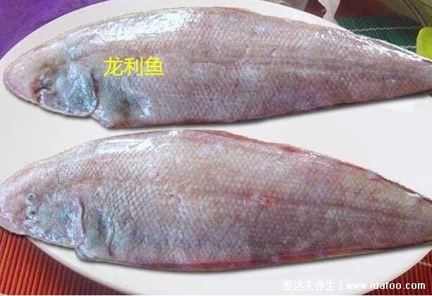 龍魚鱗片白膜病怎么辦，如何去除龍魚鱗片上的白膜