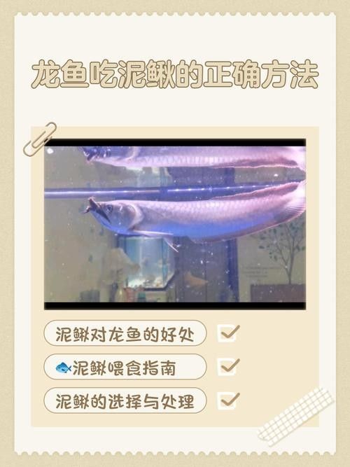 如何延長水龍魚的保鮮時間？