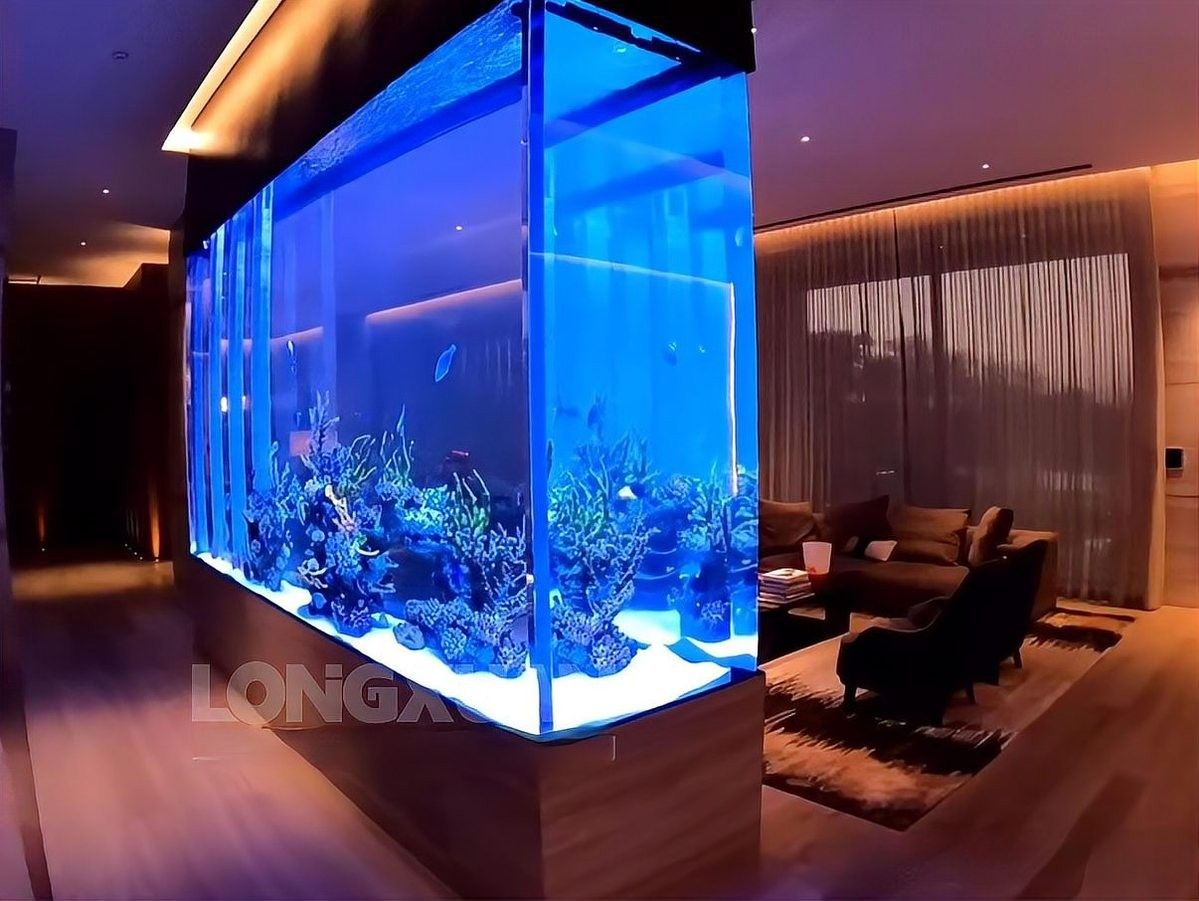 如何安裝魚缸恒溫加熱器（安裝魚缸恒溫加熱器的步驟） 如何安裝魚缸恒溫加熱器（安裝魚缸恒溫加熱器的步驟） 龍魚百科 第6張