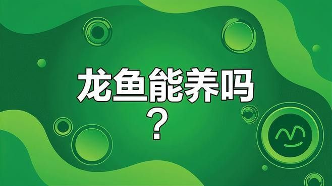 哪種濾材對龍魚最有利