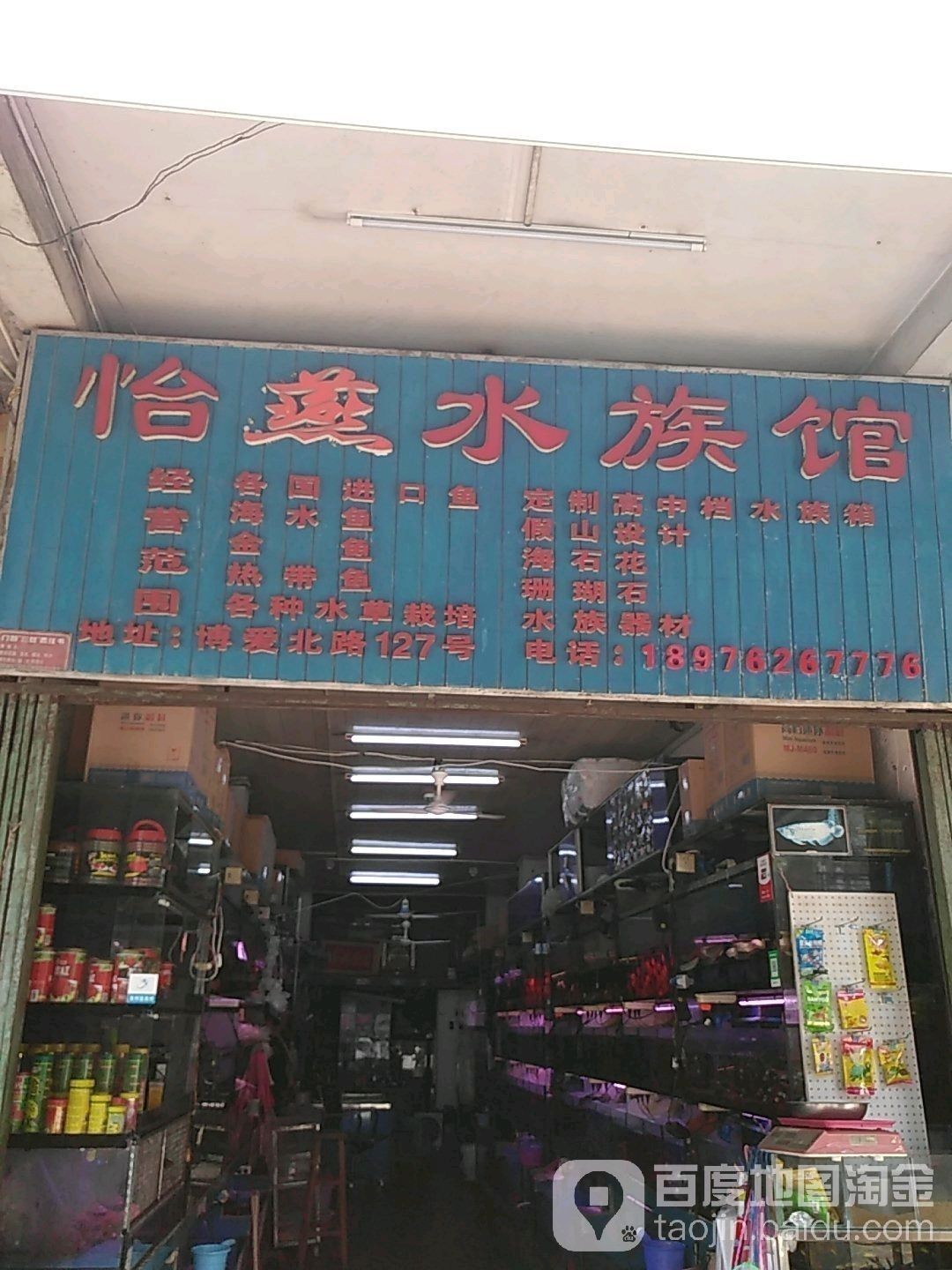 博愛哪個水族館龍魚好？祥龍魚場龍魚（博愛水族館和祥龍魚場各有千秋）