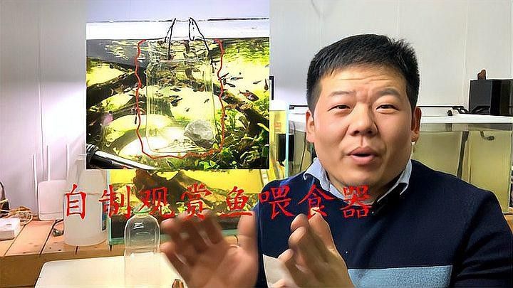 如何制作龍魚的自制飼料
